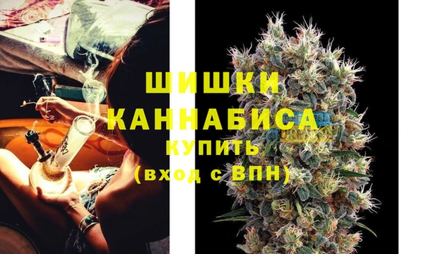 твердый Няндома