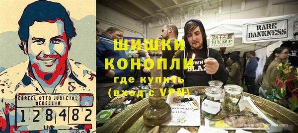 PSILOCYBIN Остров