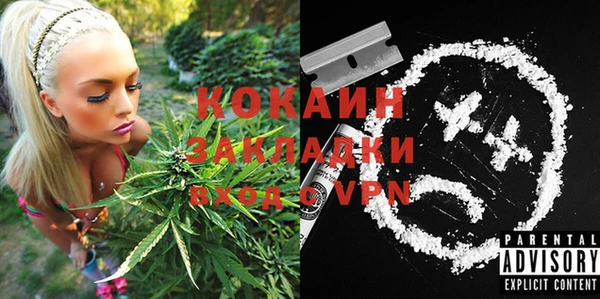 гашик Нягань