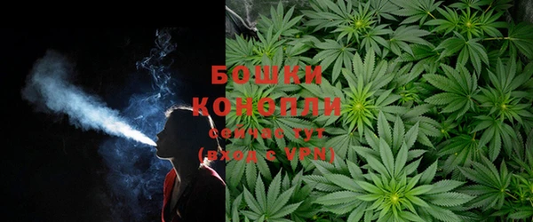 твердый Няндома