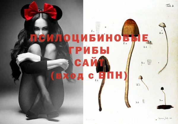 твердый Няндома