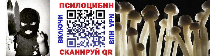 Псилоцибиновые грибы мицелий  Купить  Брянск 
